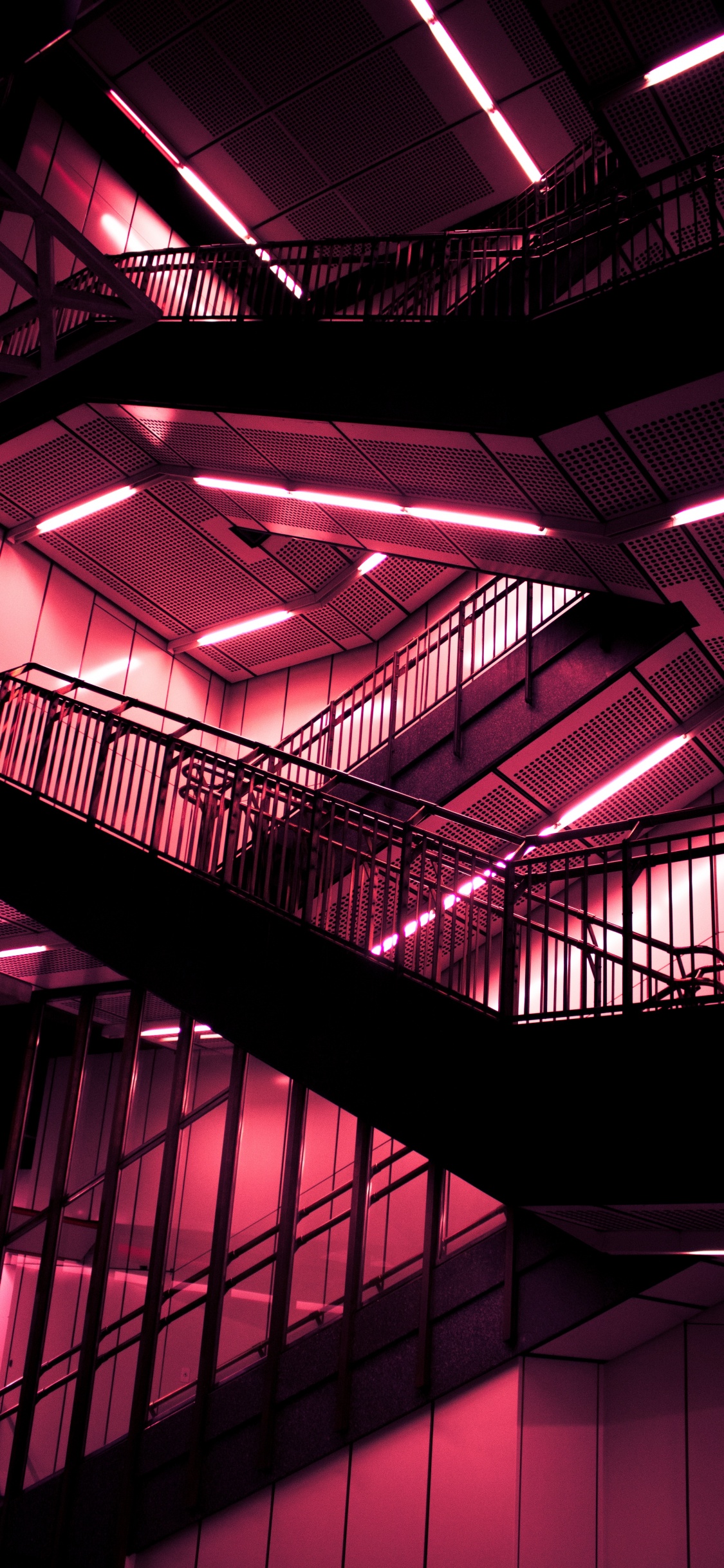 粉红色, 红色的, 紫色的, 光, 建筑 壁纸 1125x2436 允许