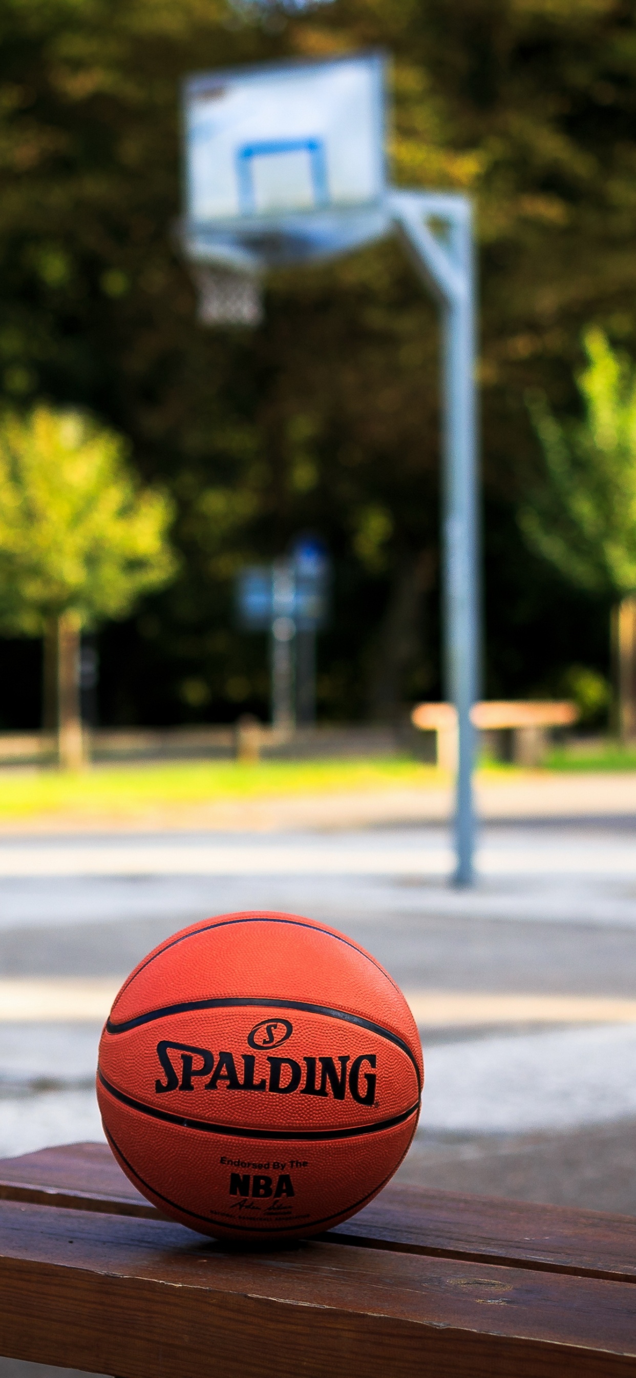 Spalding, Sports, Basketball, Light, Sports Equipment. Wallpaper in 1242x2688 Resolution