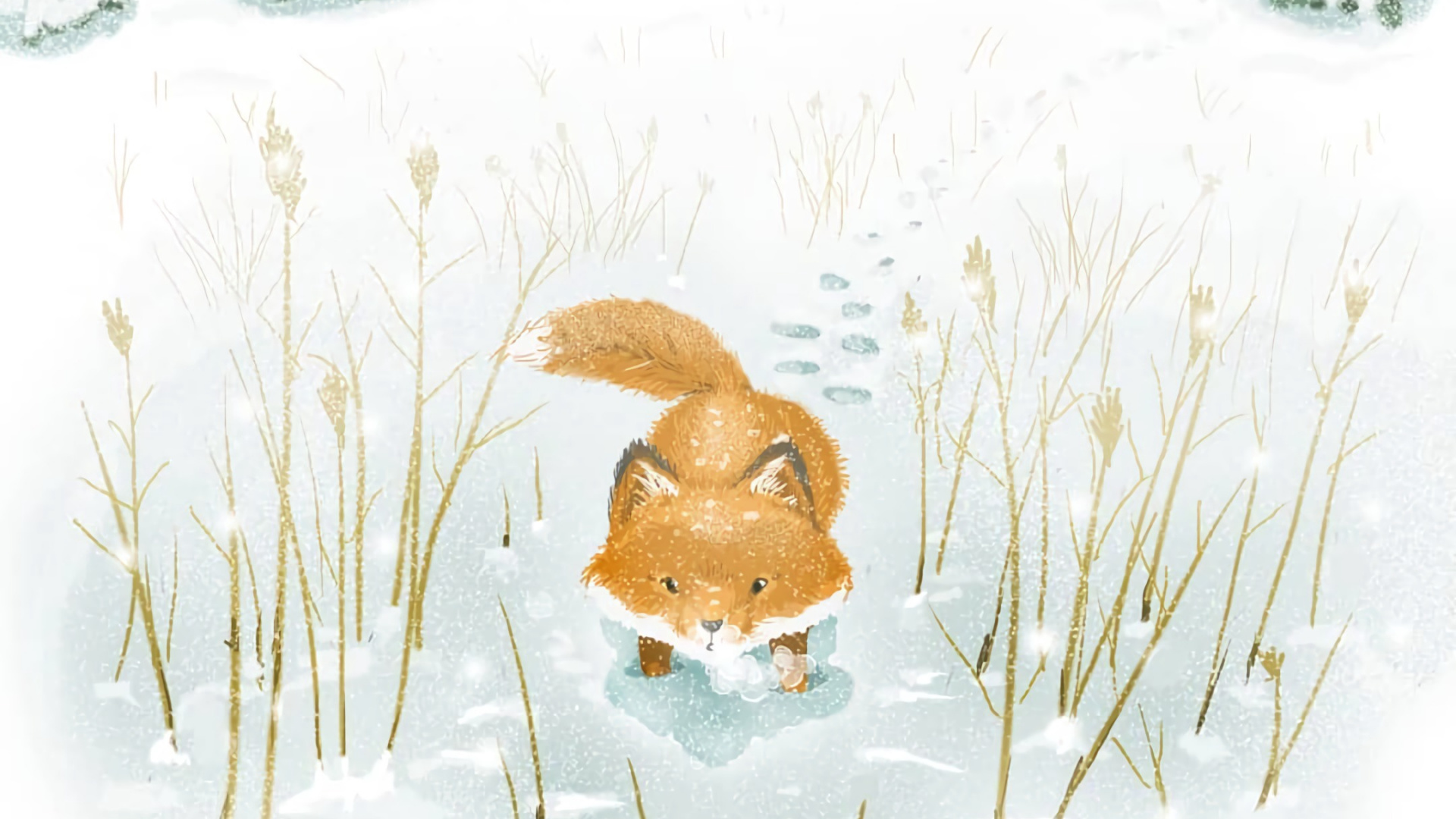 Braunbär Auf Schneebedecktem Boden. Wallpaper in 1920x1080 Resolution