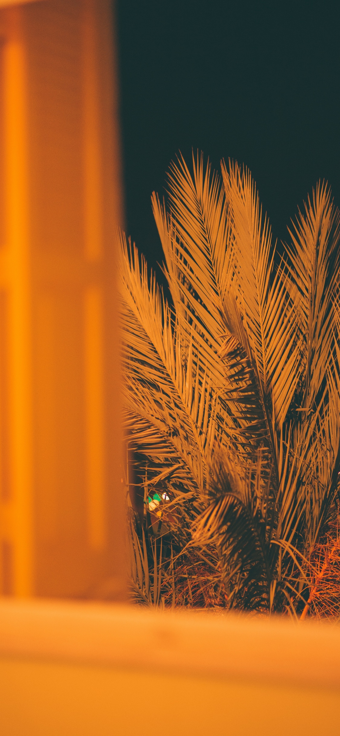 Brown Plant in Front of Yellow Wall. Wallpaper in 1125x2436 Resolution