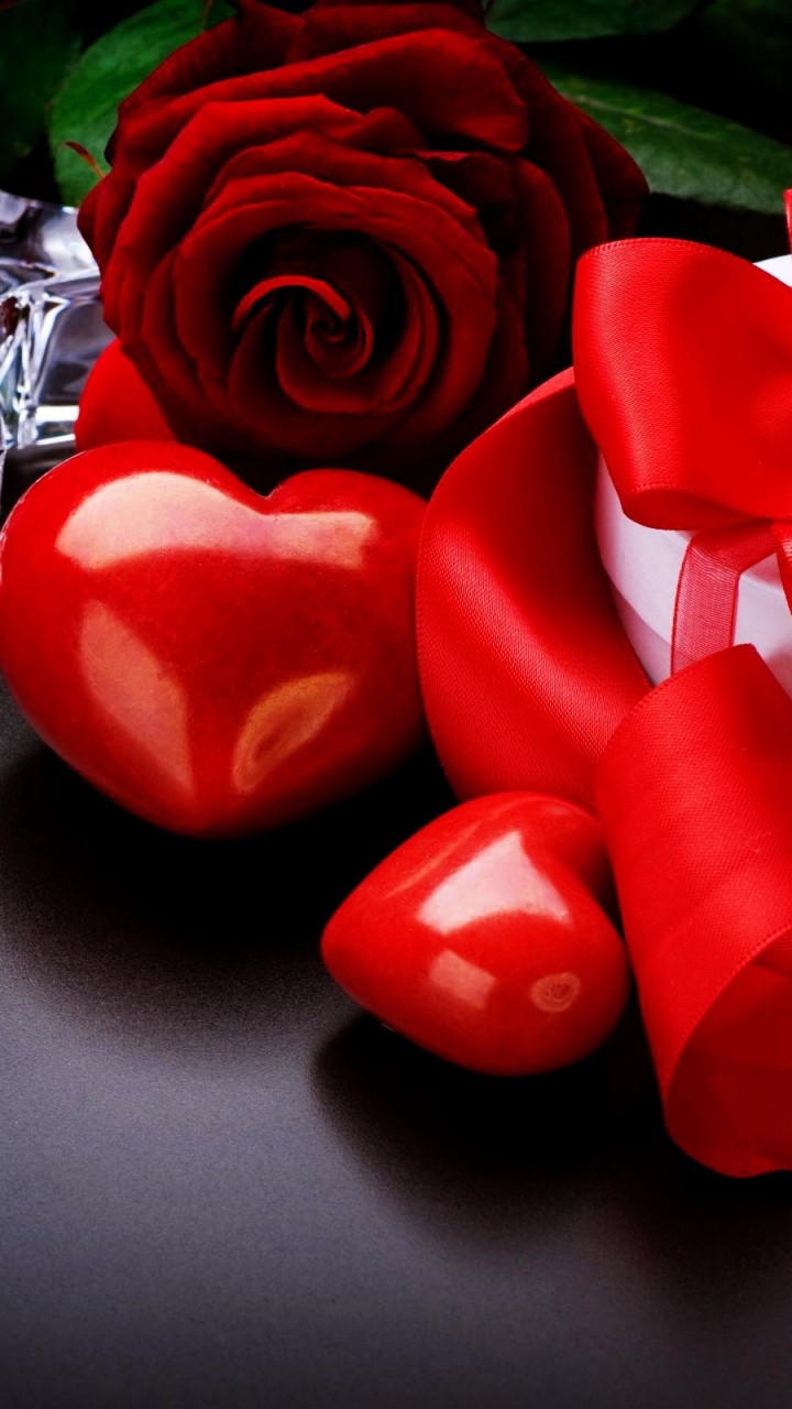 Rose, Schnittblumen, Garten Rosen, Blütenblatt, Rose Familie. Wallpaper in 720x1280 Resolution