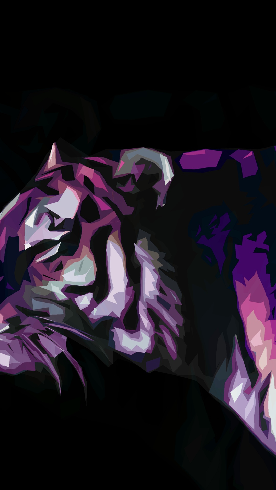 紫色的, 套, 紫罗兰色, 猫科, 品红色 壁纸 1080x1920 允许