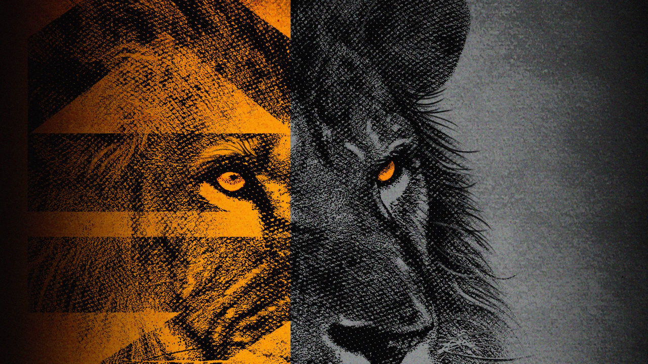 Lion, Conception, Felidae, Carnivores, Art. Wallpaper in 1280x720 Resolution