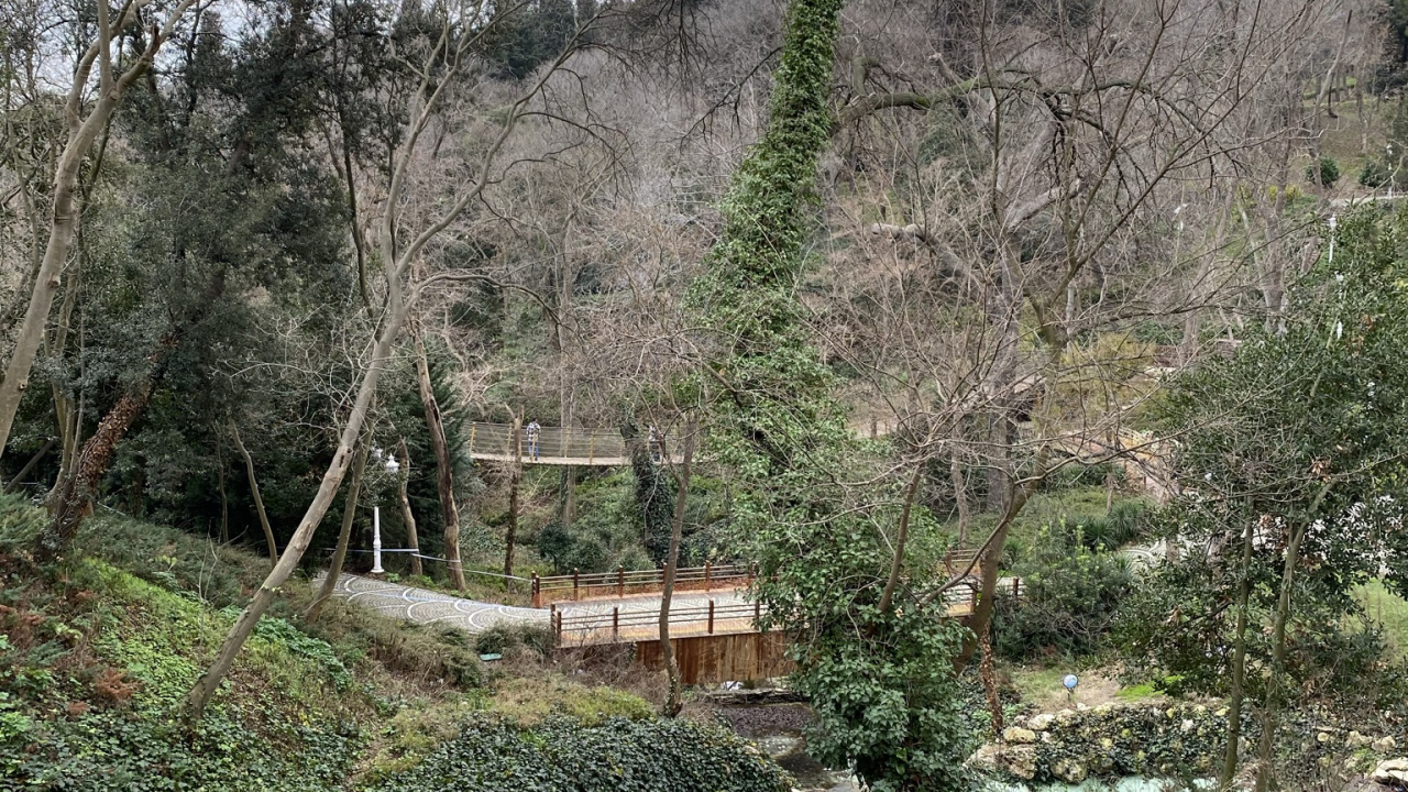 植被, 自然景观, 灌木, 地被, 沿岸区 壁纸 1280x720 允许