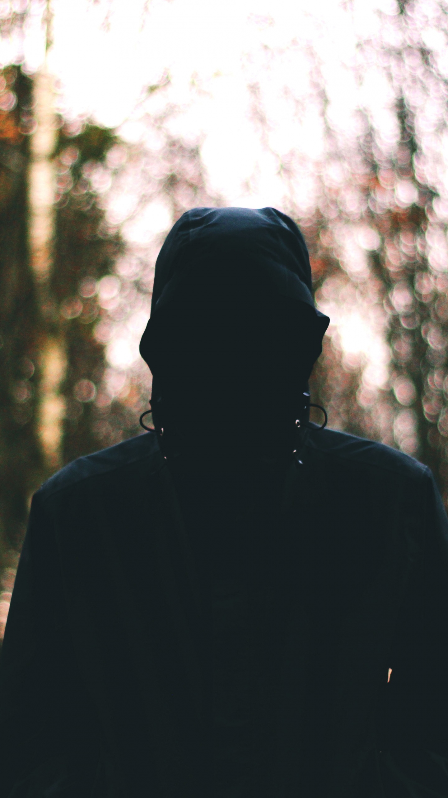 L'homme en Veste Noire Debout Dans la Forêt Pendant la Journée. Wallpaper in 1440x2560 Resolution