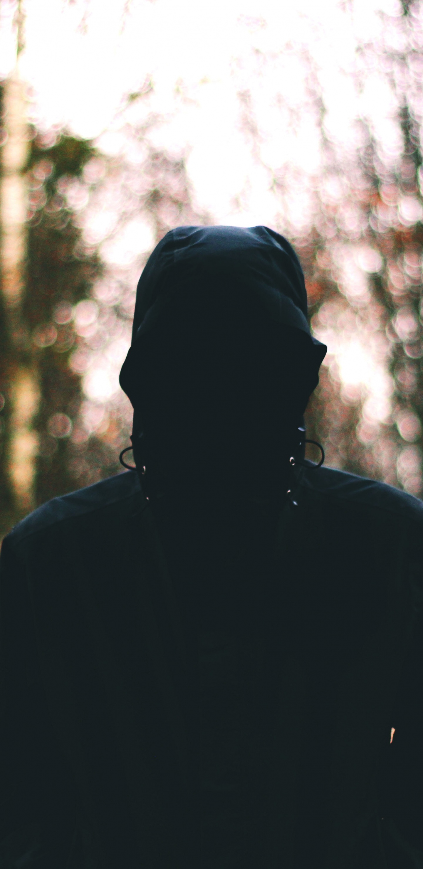 森林, 人们在自然界, 自然环境, 光, 阳光 壁纸 1440x2960 允许