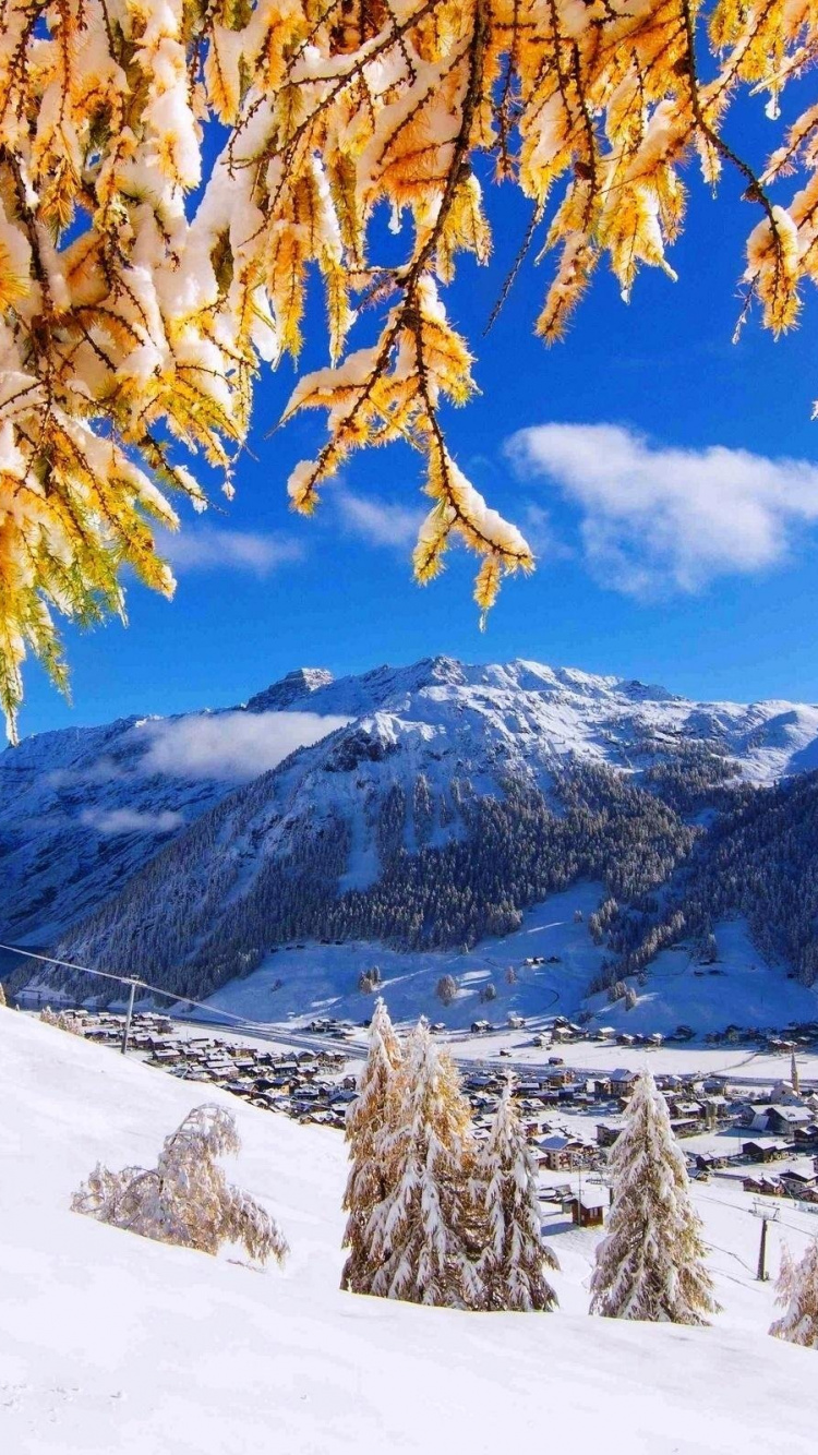 Brown Trees on Snow Covered Ground Near Snow Covered Mountain During Daytime. Wallpaper in 750x1334 Resolution