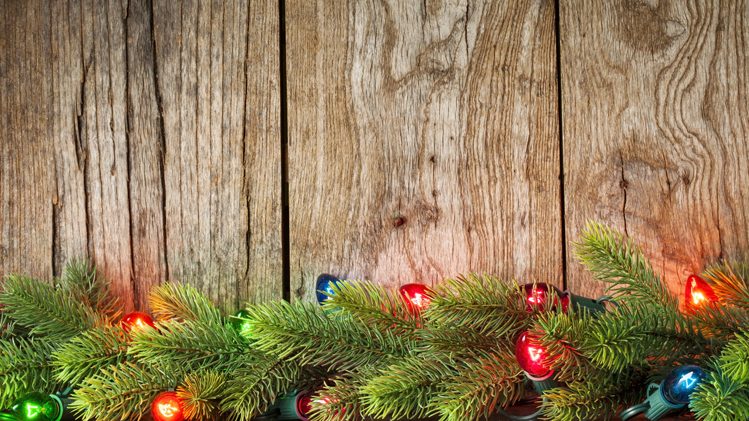 El Día De Navidad, Decoración de la Navidad, Navidad, Sucursal, Papel. Wallpaper in 2560x1440 Resolution