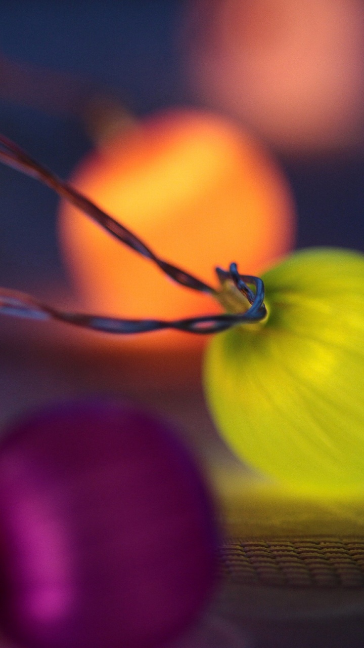 Still Life, Fruit, Vegetable, Cucurbita, Close Up. Wallpaper in 720x1280 Resolution