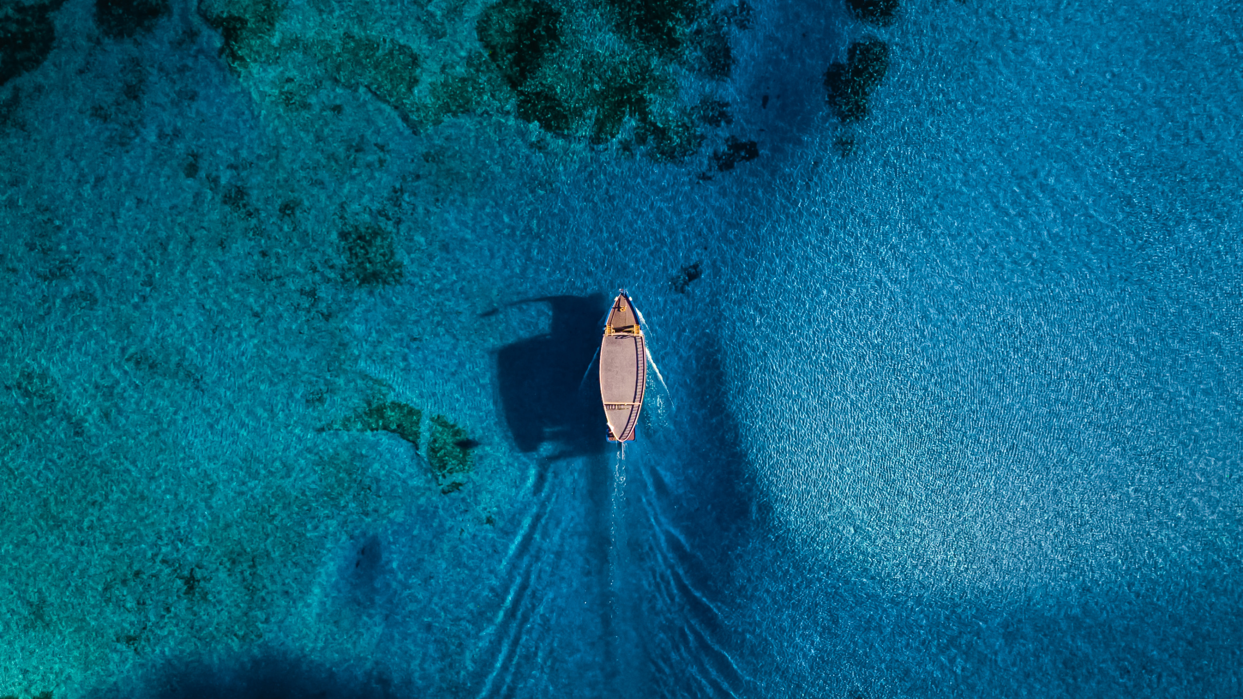 Submarino, Agua, Mar, Los Recursos de Agua, Naturaleza. Wallpaper in 2560x1440 Resolution