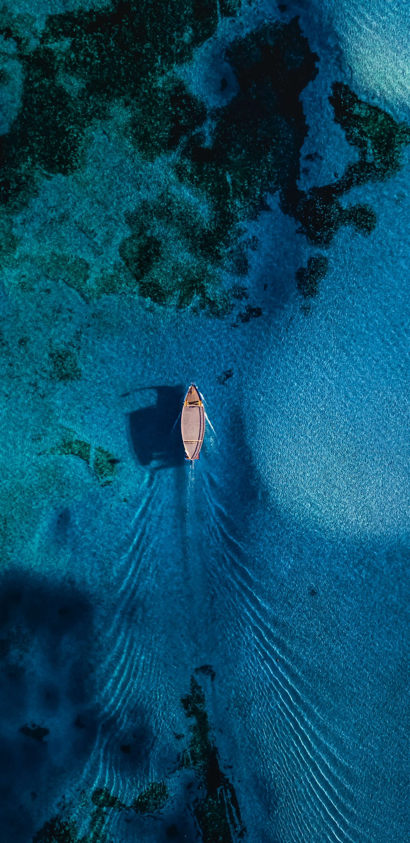 Underwater, Water, Sea, Water Resources, Nature. Wallpaper in 1440x2960 Resolution