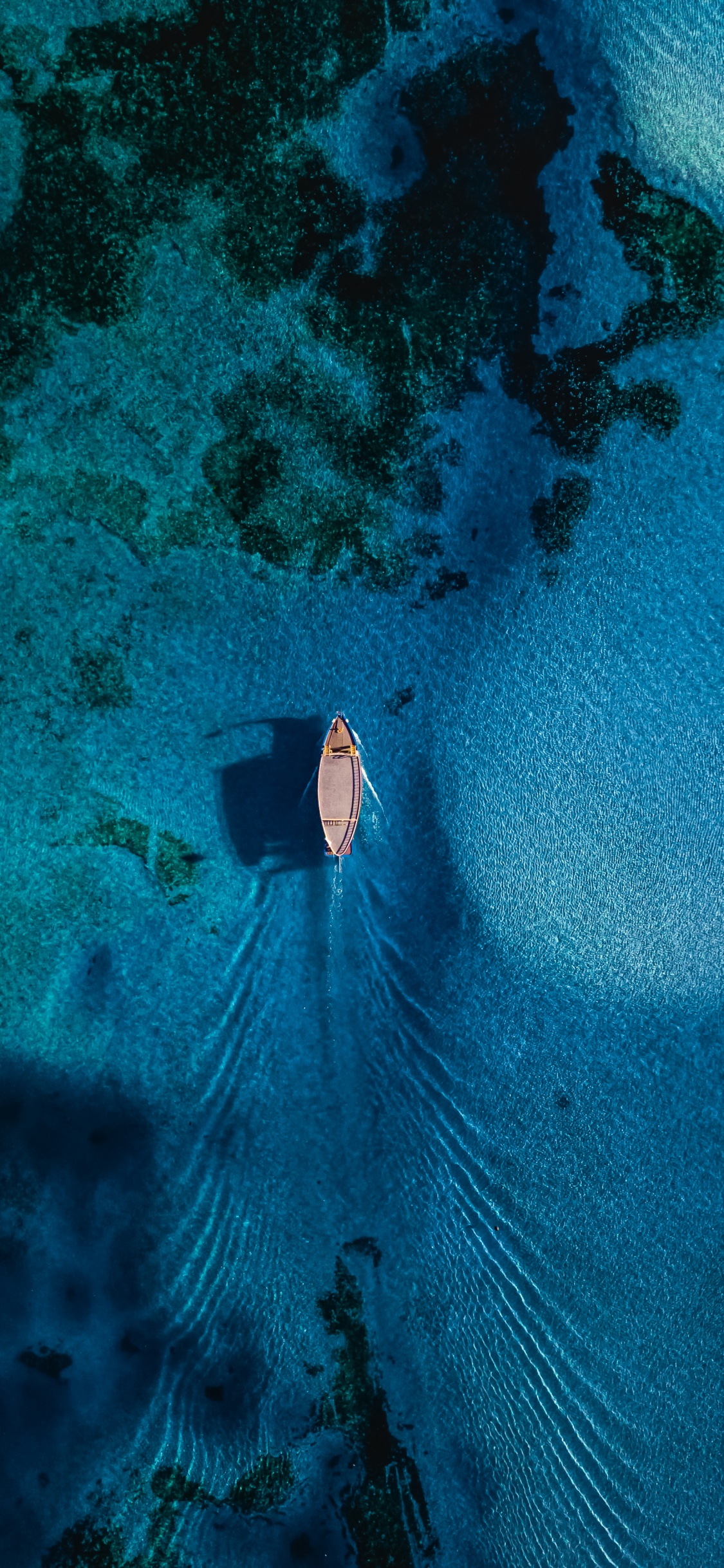 Unterwasser, Wasser, Meer, Wasserressourcen, Natur. Wallpaper in 1125x2436 Resolution