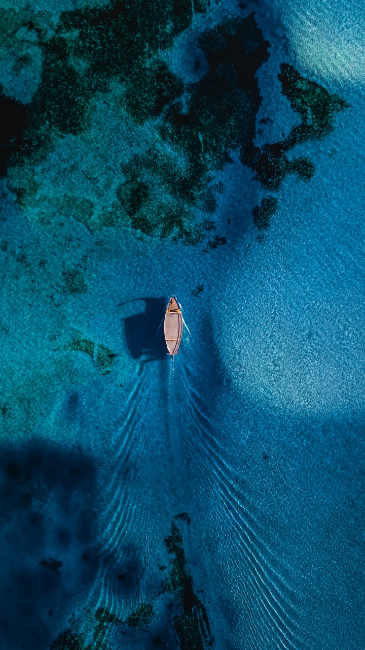 Unterwasser, Wasser, Meer, Wasserressourcen, Natur. Wallpaper in 720x1280 Resolution