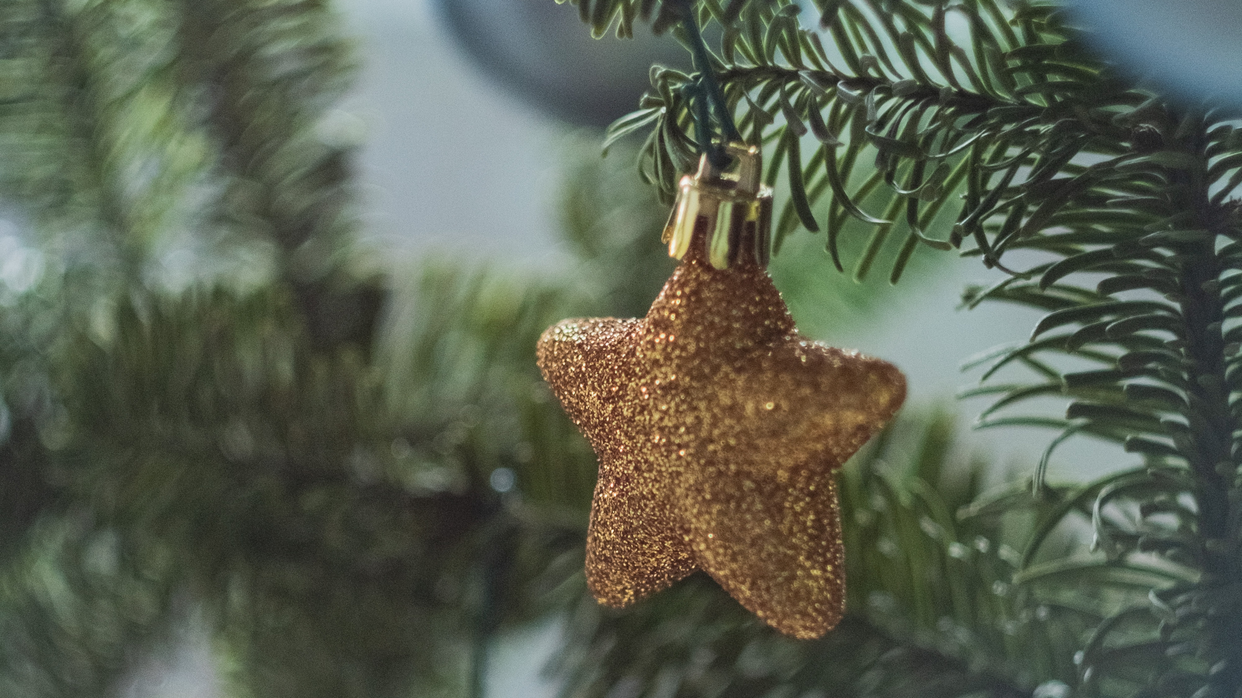 Gold Angel Ornament on Green Pine Tree. Wallpaper in 2560x1440 Resolution