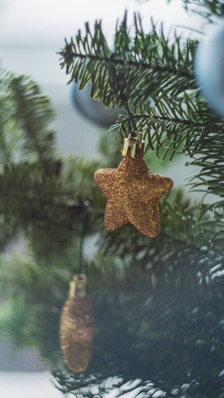 Gold Angel Ornament on Green Pine Tree. Wallpaper in 720x1280 Resolution
