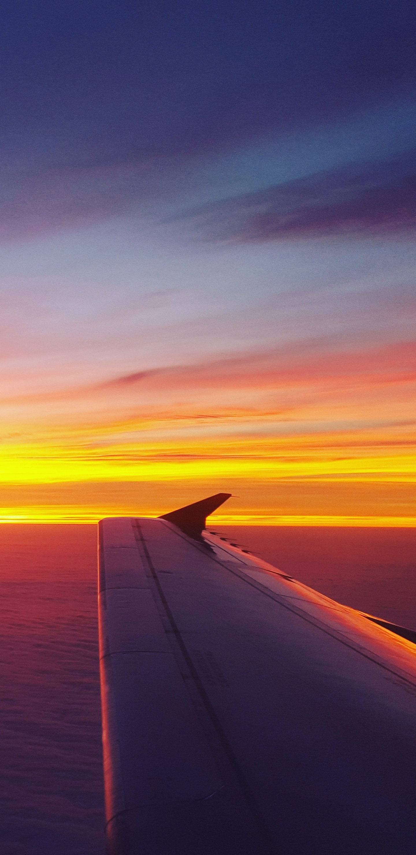 Plan D'eau au Coucher du Soleil. Wallpaper in 1440x2960 Resolution