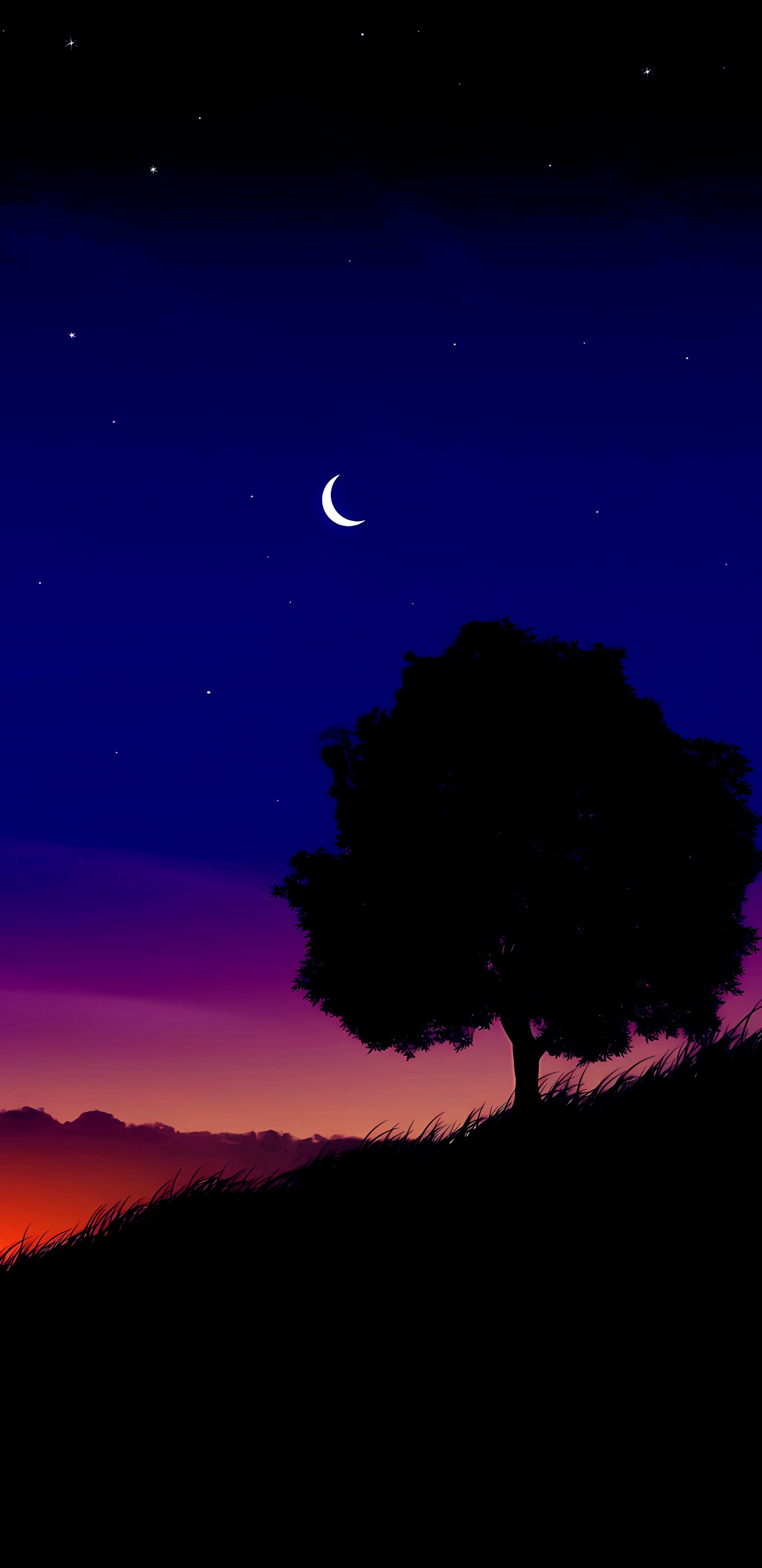 Atmosphäre, Ökoregion, Licht, Natur, Schwarz. Wallpaper in 1440x2960 Resolution