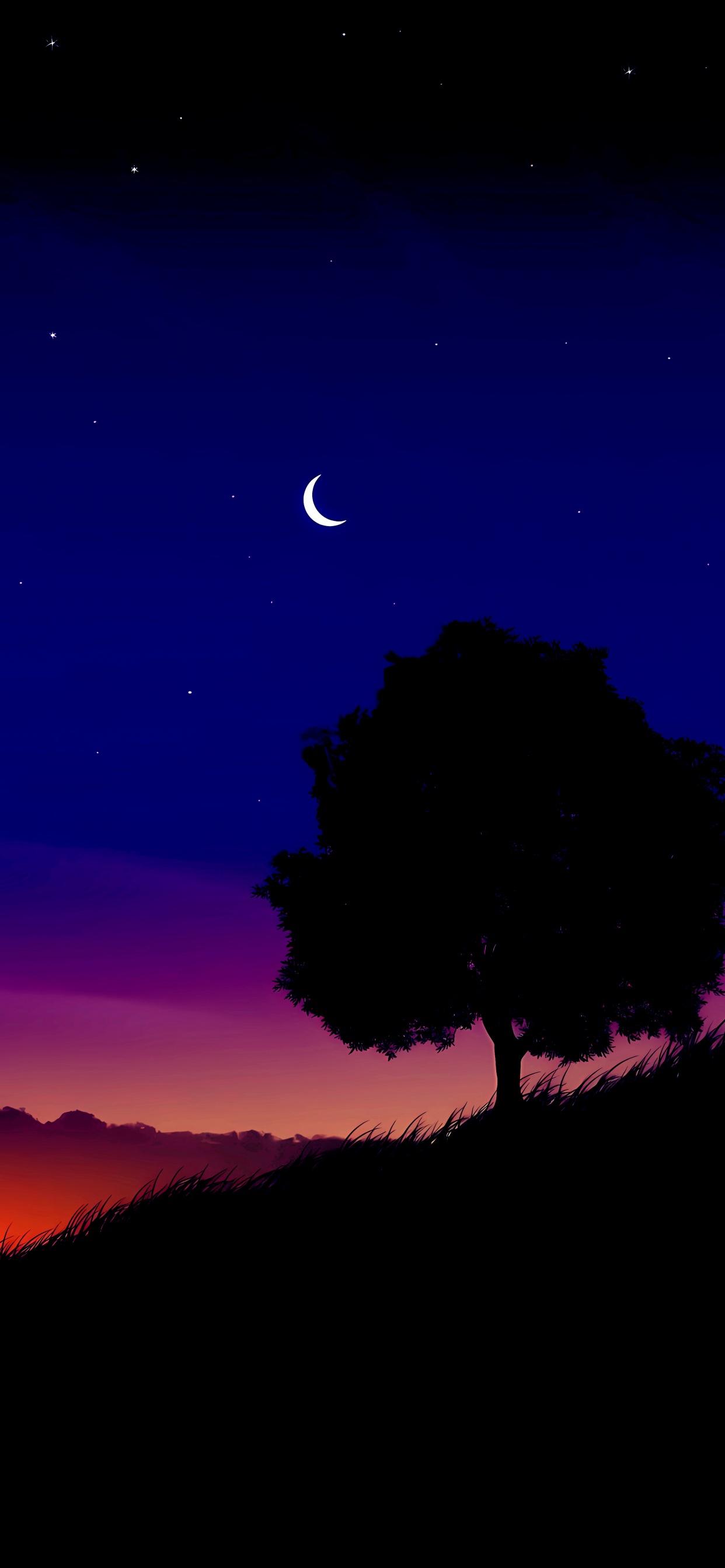 Atmosphere, Ecoregion, Light, Nature, Black. Wallpaper in 1242x2688 Resolution