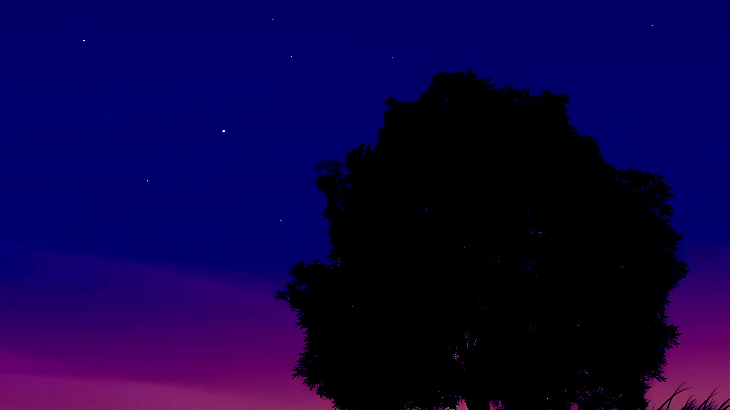 Atmosphere, Ecoregion, Light, Nature, Black. Wallpaper in 2560x1440 Resolution