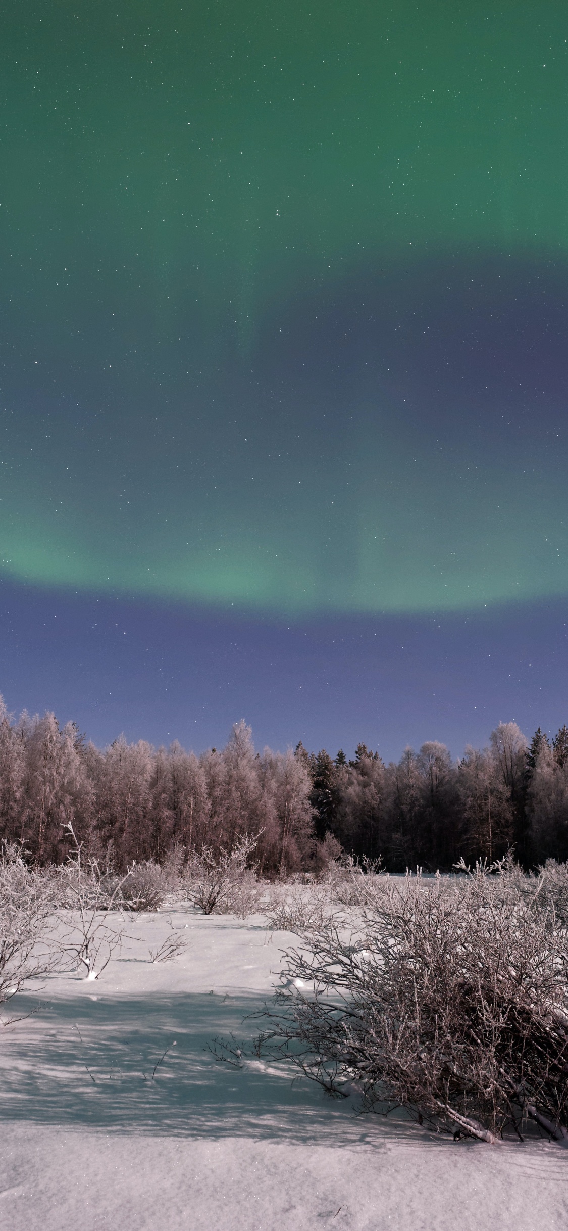 Aurora, Erde, Atmosphäre, Ökoregion, Naturlandschaft. Wallpaper in 1125x2436 Resolution