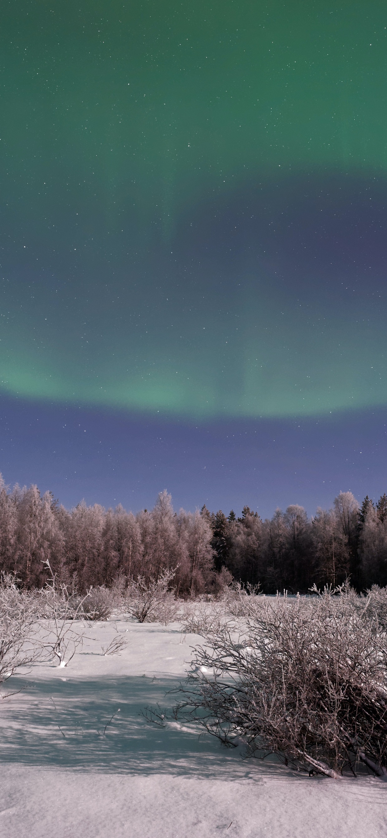 Aurora, Erde, Atmosphäre, Ökoregion, Naturlandschaft. Wallpaper in 1242x2688 Resolution