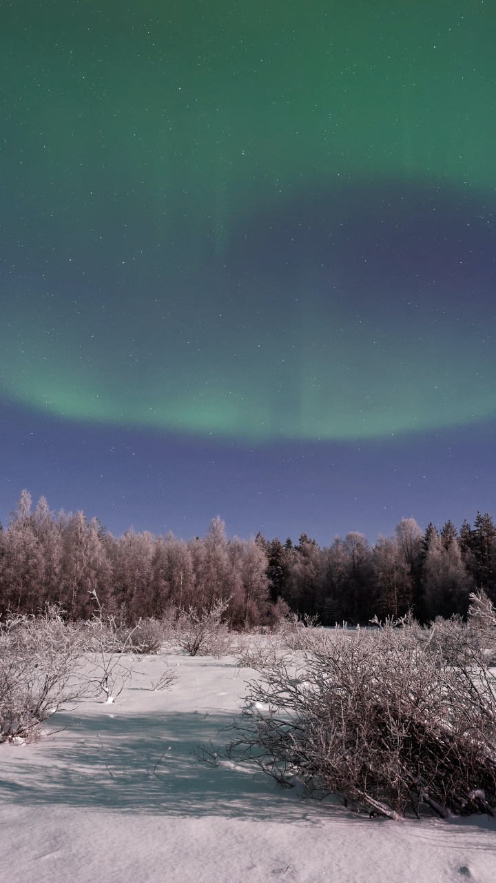 Aurora, Erde, Atmosphäre, Ökoregion, Naturlandschaft. Wallpaper in 720x1280 Resolution