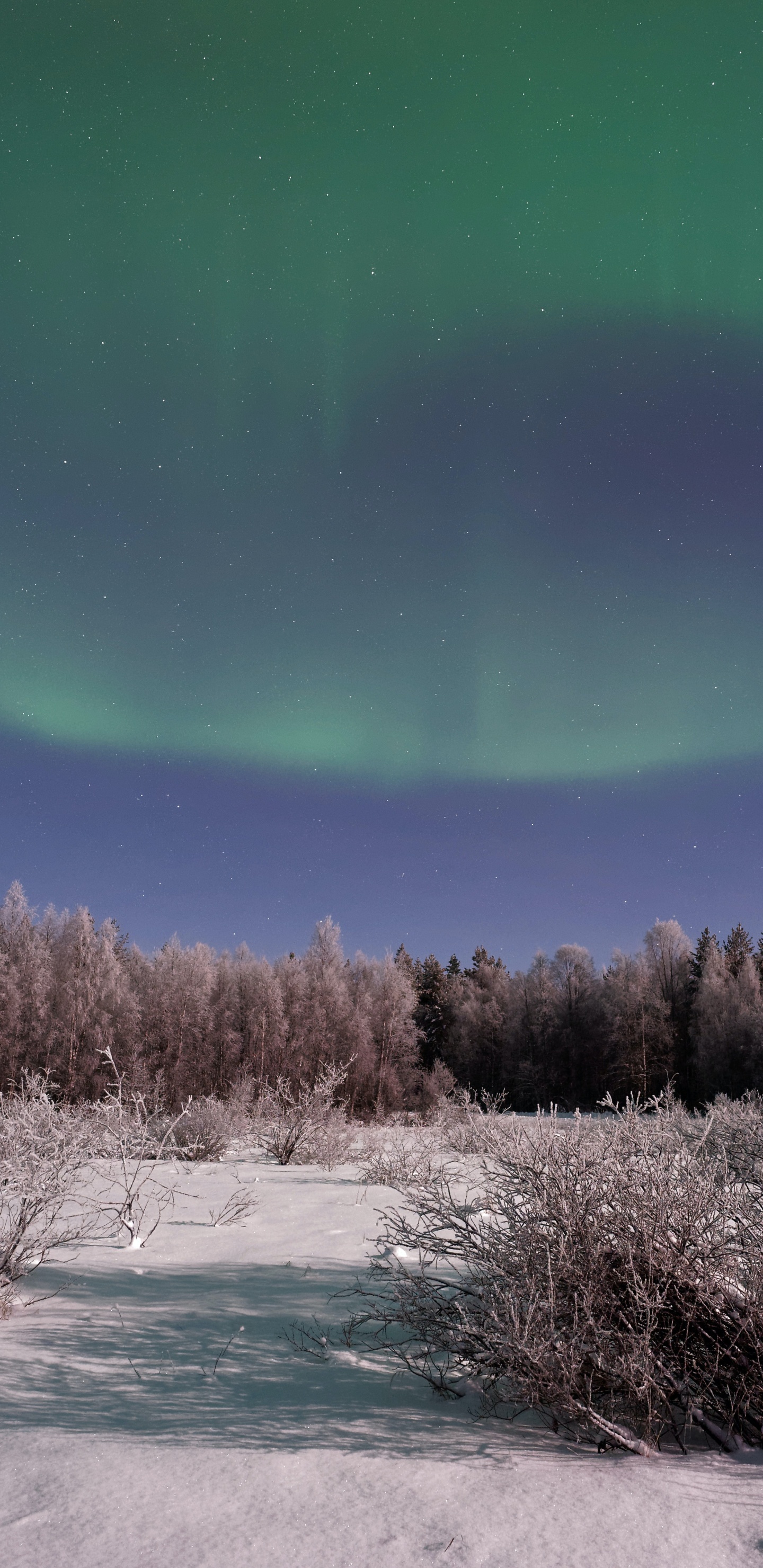 Aurora, Terre, Atmosphère, L'écorégion, Paysage Naturel. Wallpaper in 1440x2960 Resolution