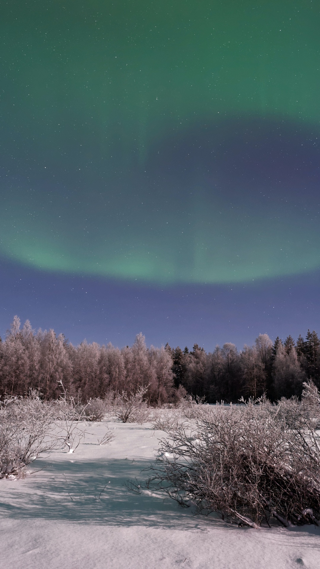 Aurora, Tierra, Ambiente, Ecorregión, Paisaje Natural. Wallpaper in 1080x1920 Resolution