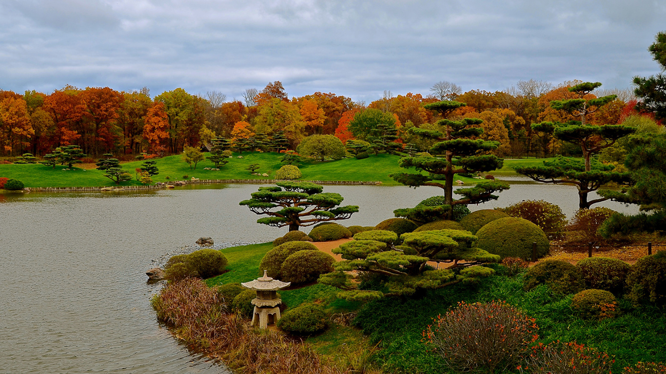 日本花园, 花园, 性质, 植物园, 反射 壁纸 1366x768 允许