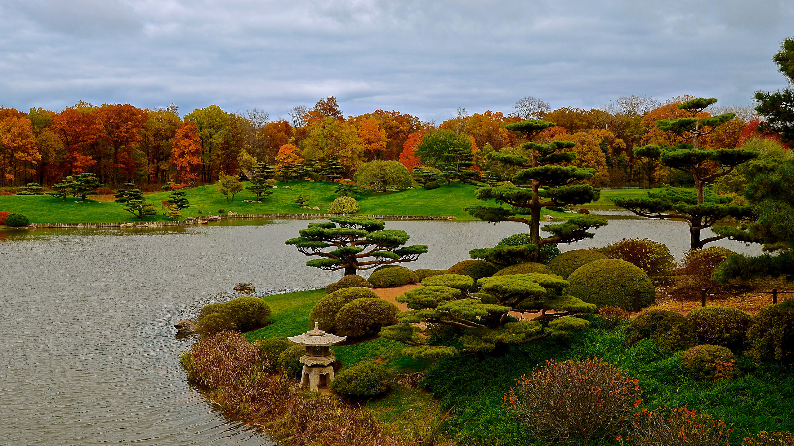 日本花园, 花园, 性质, 植物园, 反射 壁纸 2560x1440 允许