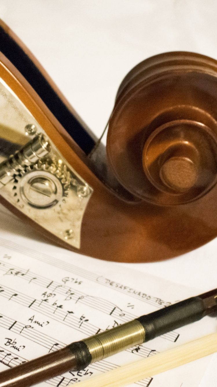 Sheet Music, Double Bass, Musical Note, Musician, Music. Wallpaper in 750x1334 Resolution