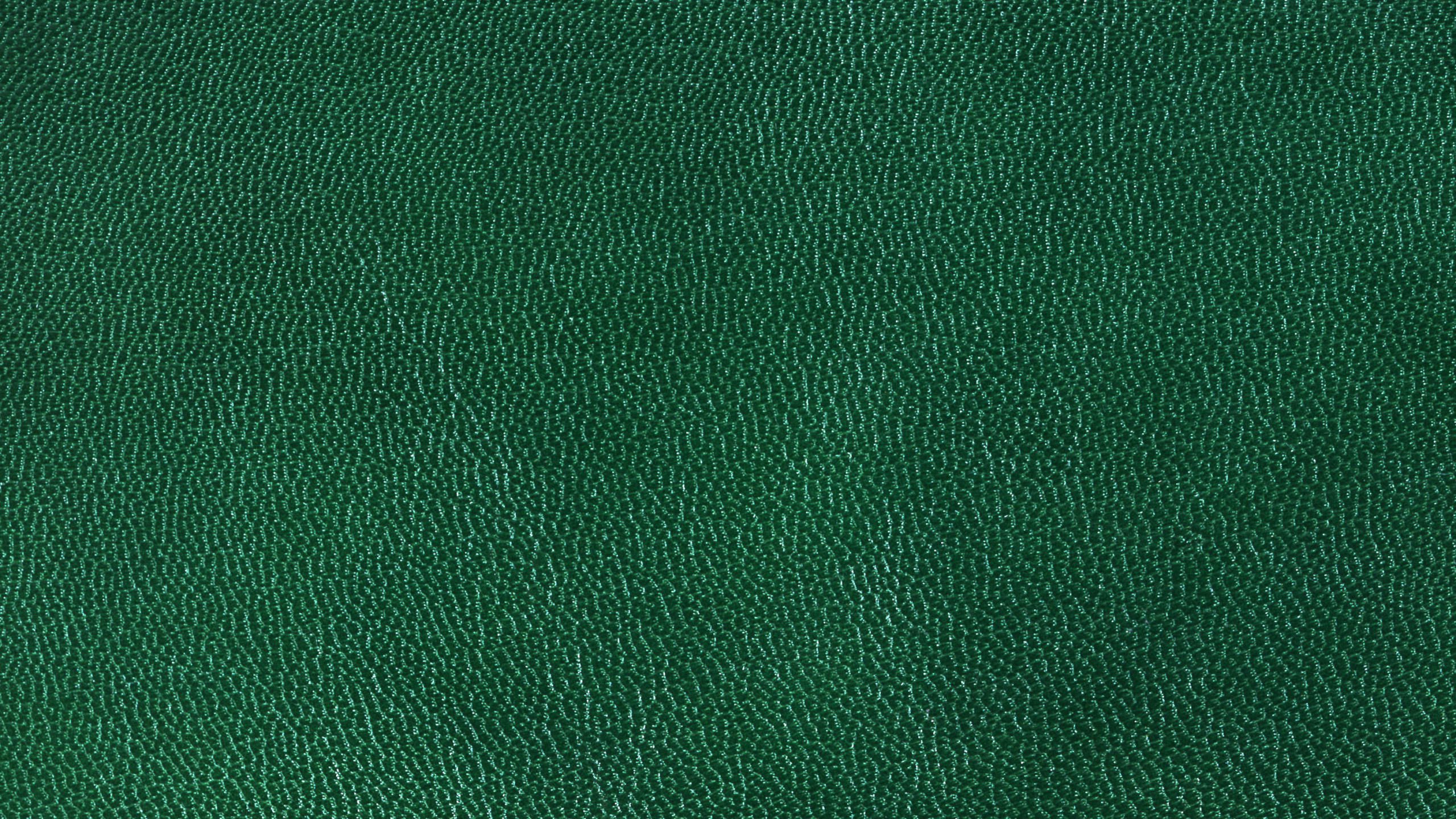 Textil Verde en la Imagen de Cerca. Wallpaper in 2560x1440 Resolution