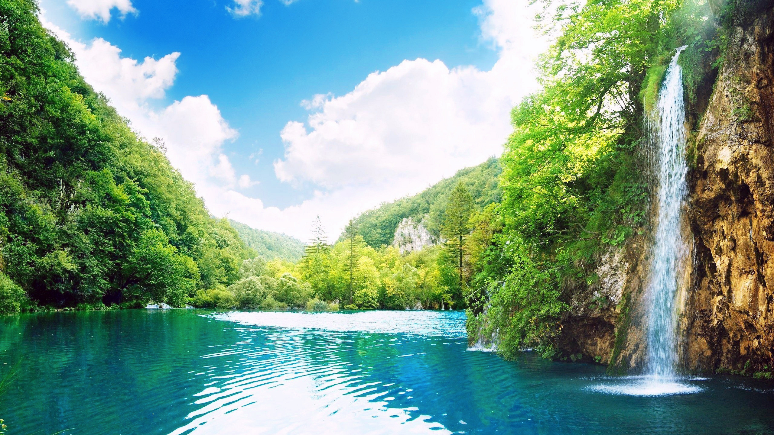 Green Trees Beside River Under Blue Sky During Daytime. Wallpaper in 2560x1440 Resolution