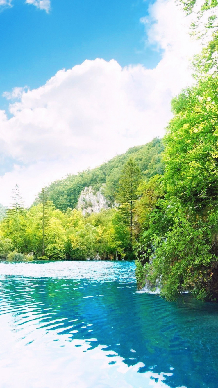 Green Trees Beside River Under Blue Sky During Daytime. Wallpaper in 750x1334 Resolution