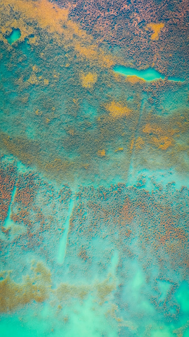 Eau, Green, Azure, Aqua, Matière Naturelle. Wallpaper in 720x1280 Resolution