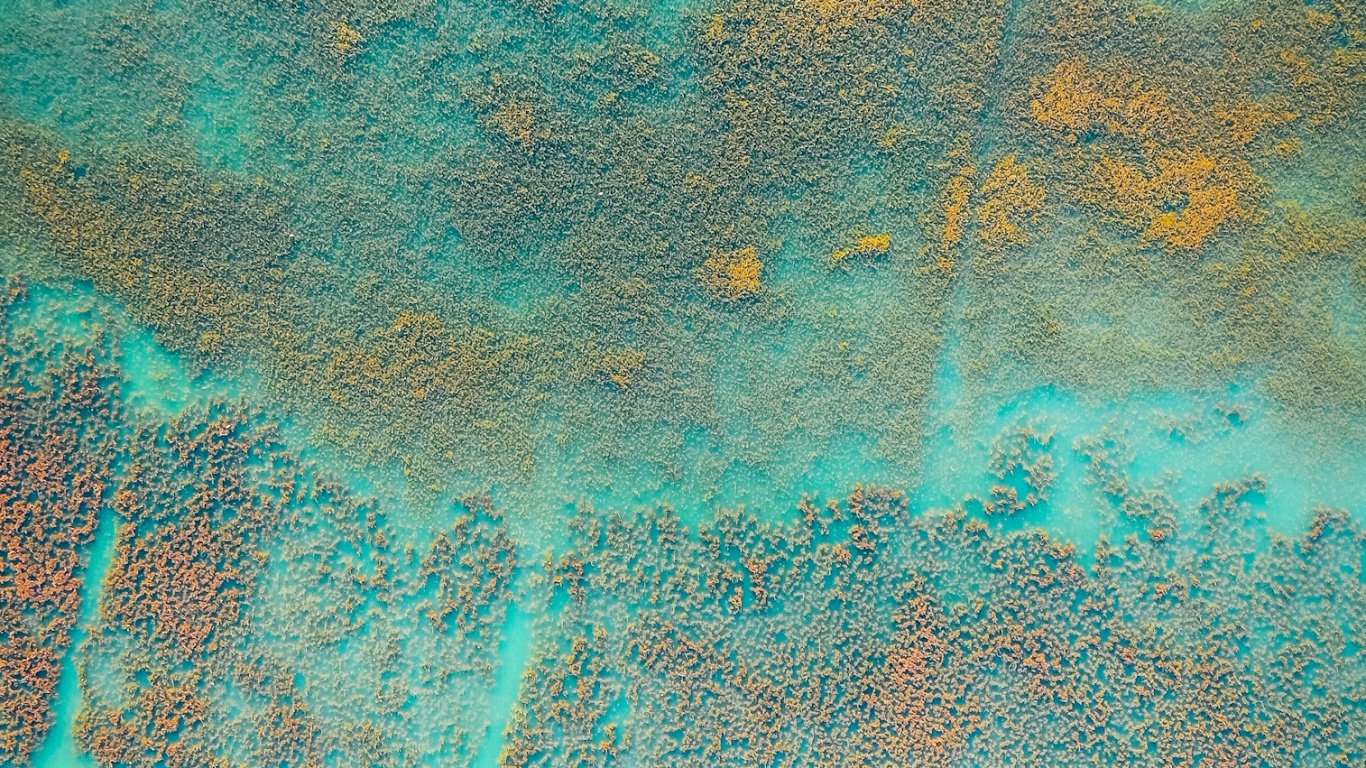 绿色的, Azure, 水上, 电蓝色的, 艺术 壁纸 1366x768 允许