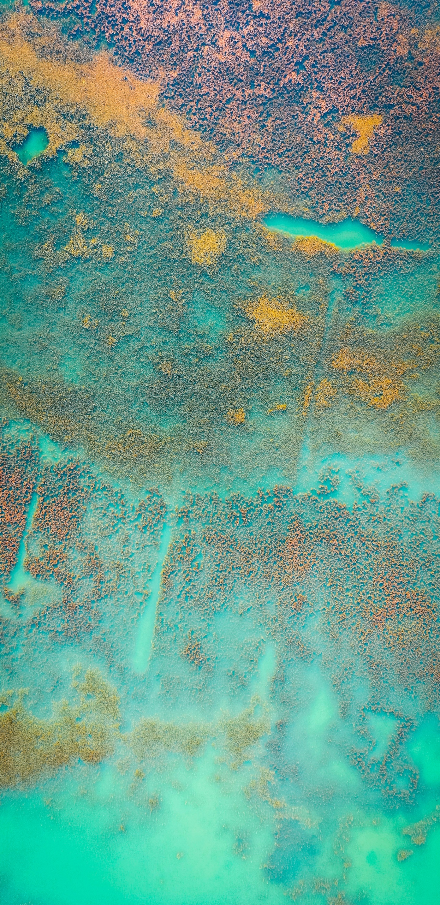 Wasser, Malerei, Gr, Azure, Aqua. Wallpaper in 1440x2960 Resolution