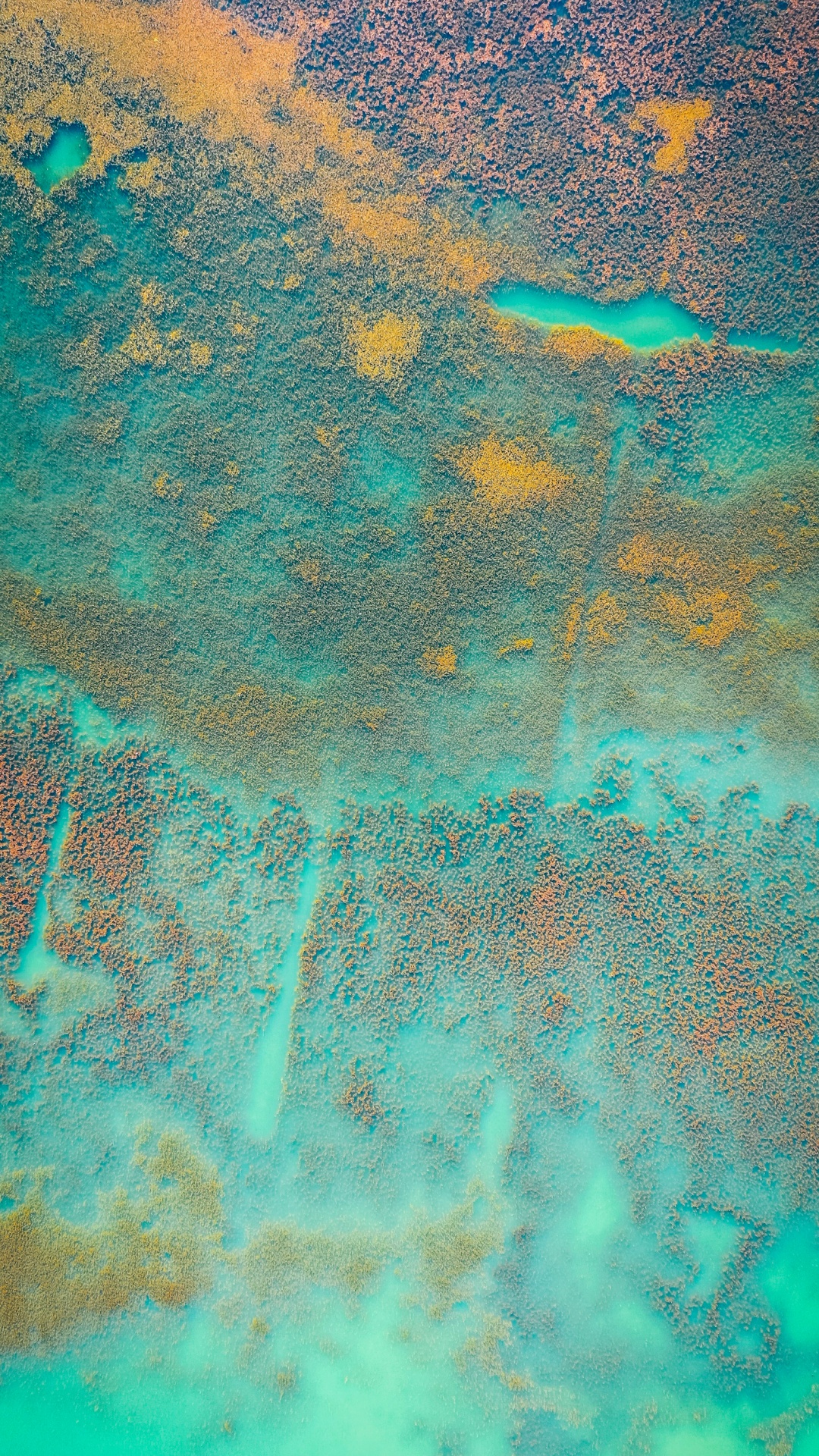 Water, Painting, Green, Azure, Aqua. Wallpaper in 1080x1920 Resolution