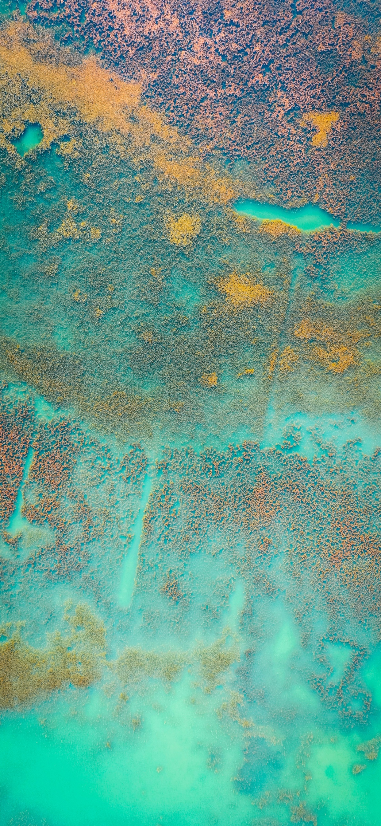 Water, Painting, Green, Azure, Aqua. Wallpaper in 1242x2688 Resolution