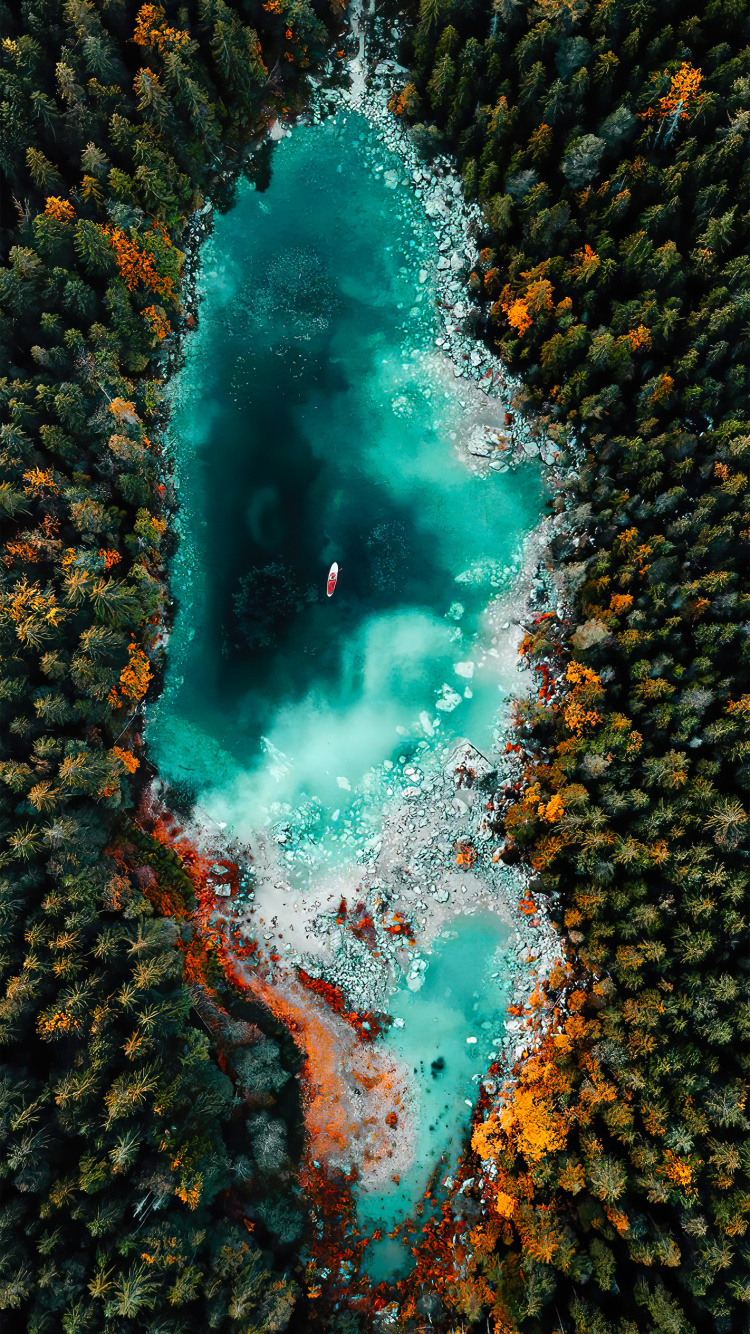 Malerei, Eibsee, Wasserressourcen, Wasser, Natur. Wallpaper in 750x1334 Resolution