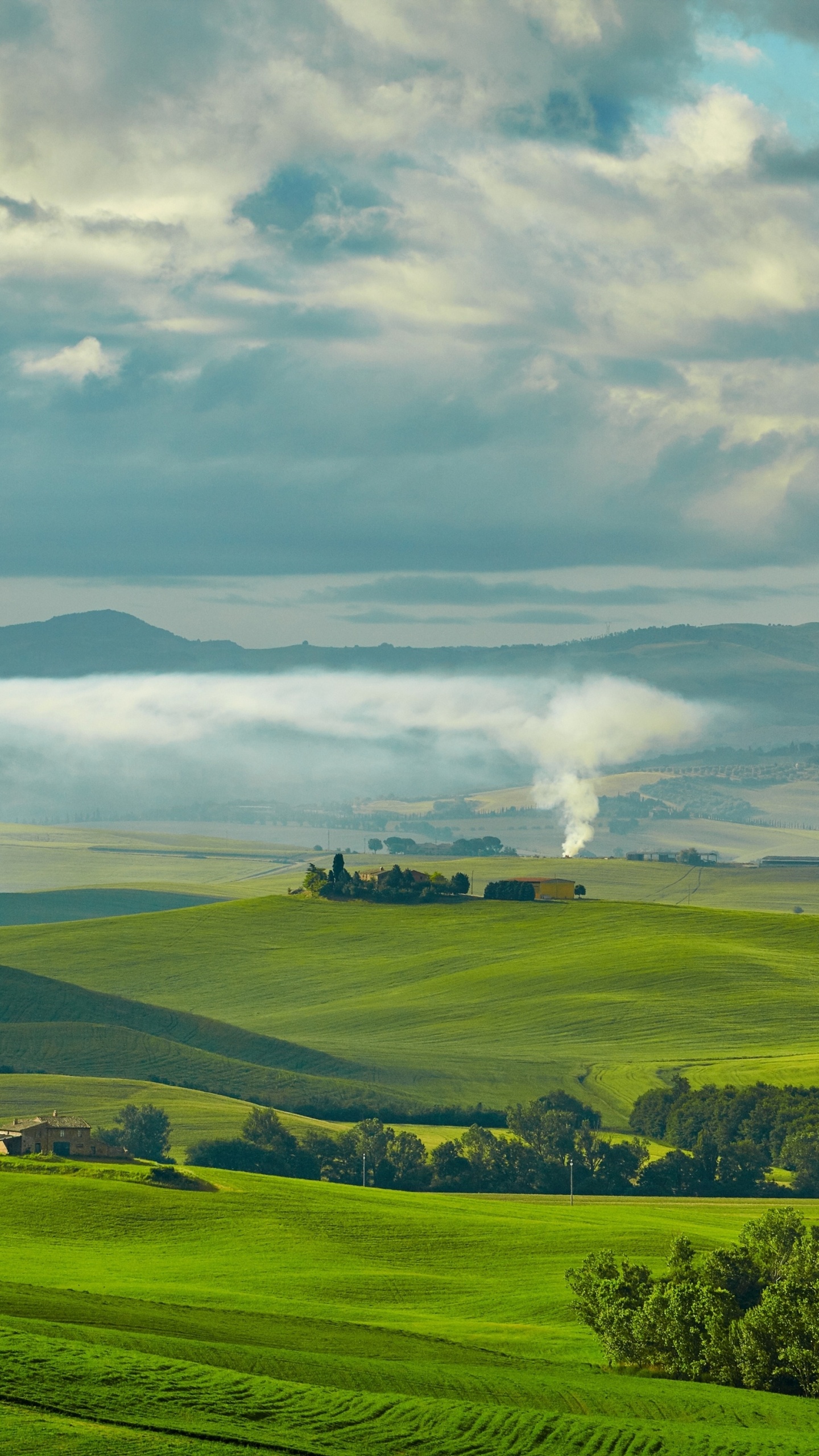 Tagsüber Grüne Wiese Unter Weißen Wolken. Wallpaper in 1440x2560 Resolution