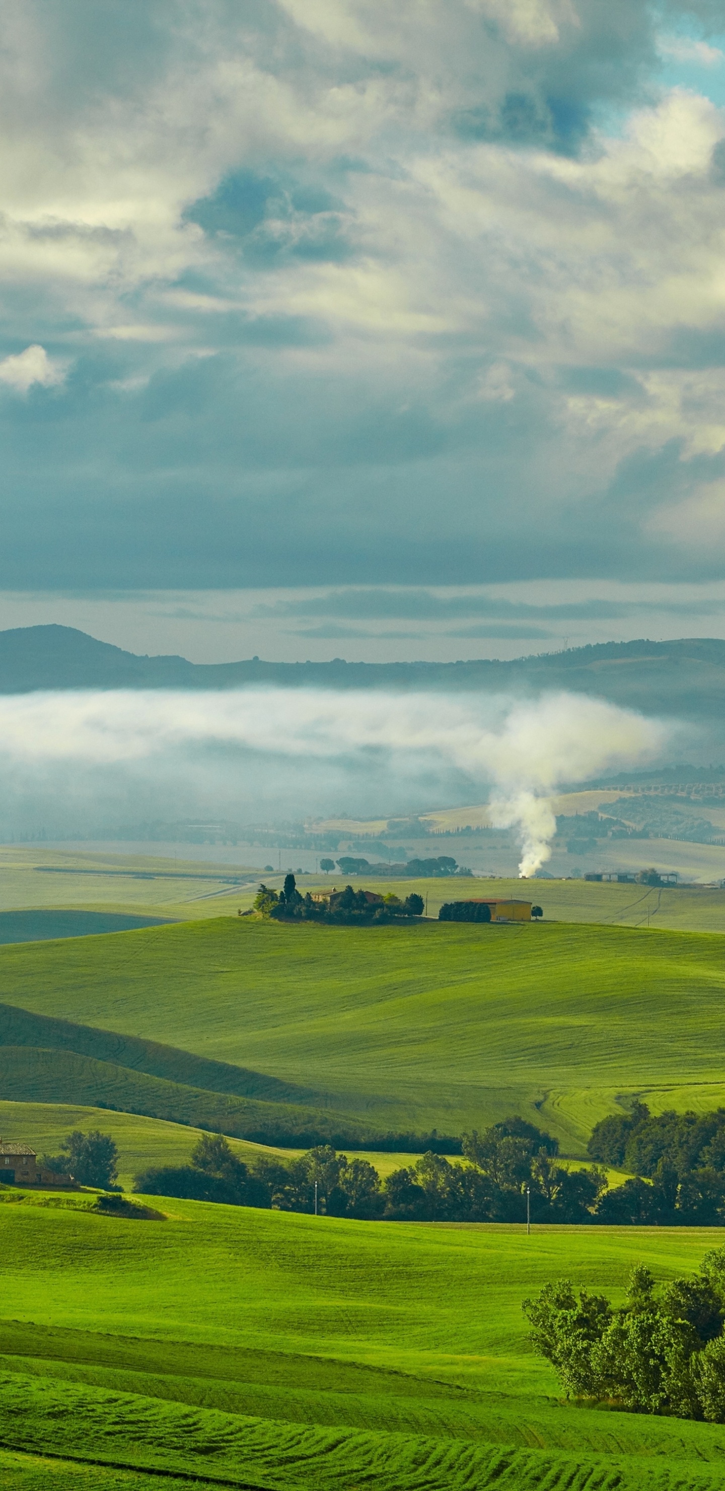 绿色的, 性质, 高地, 普通的, 草地上 壁纸 1440x2960 允许