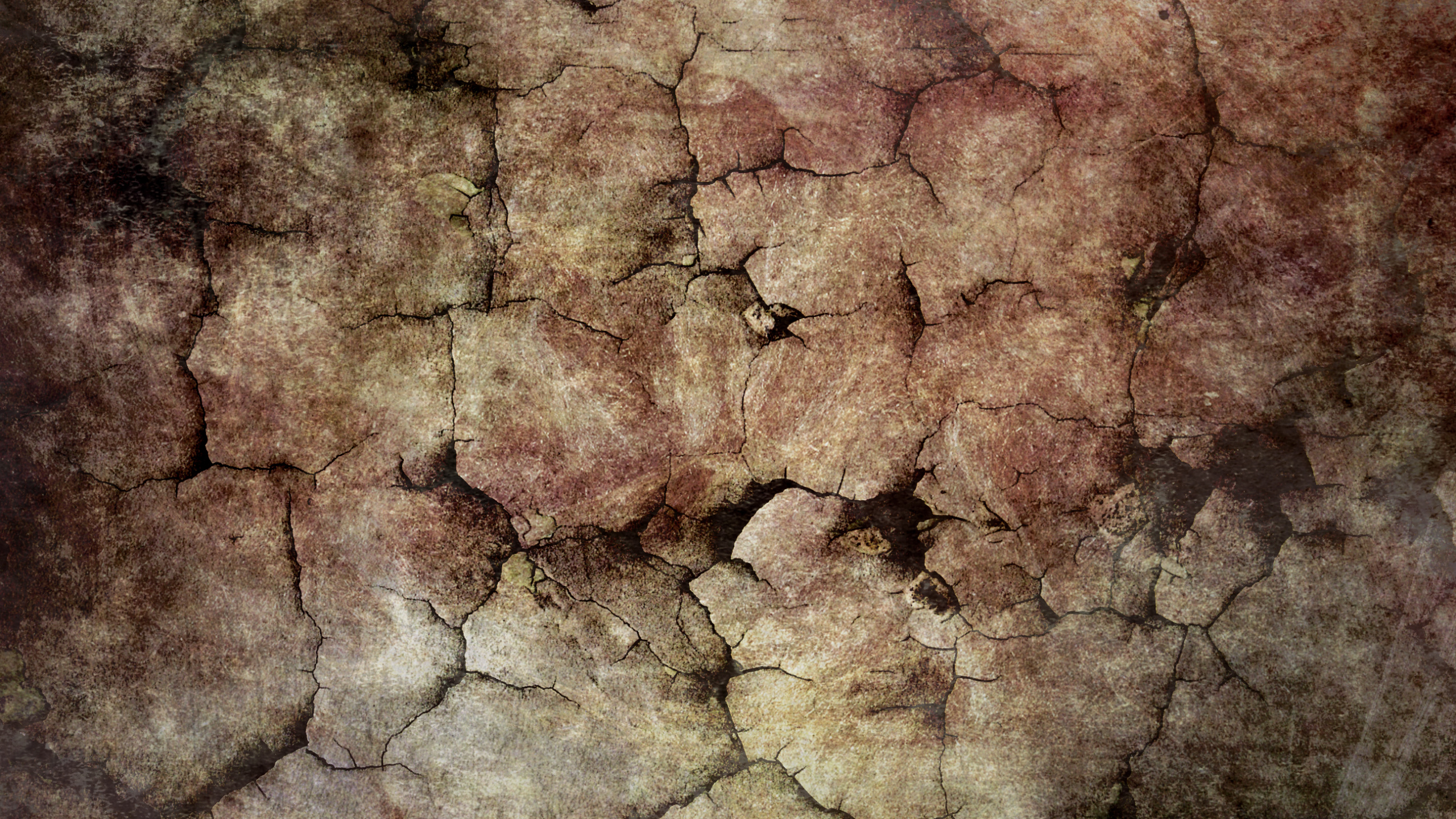 Fragmento de Piedra Marrón y Gris. Wallpaper in 2560x1440 Resolution