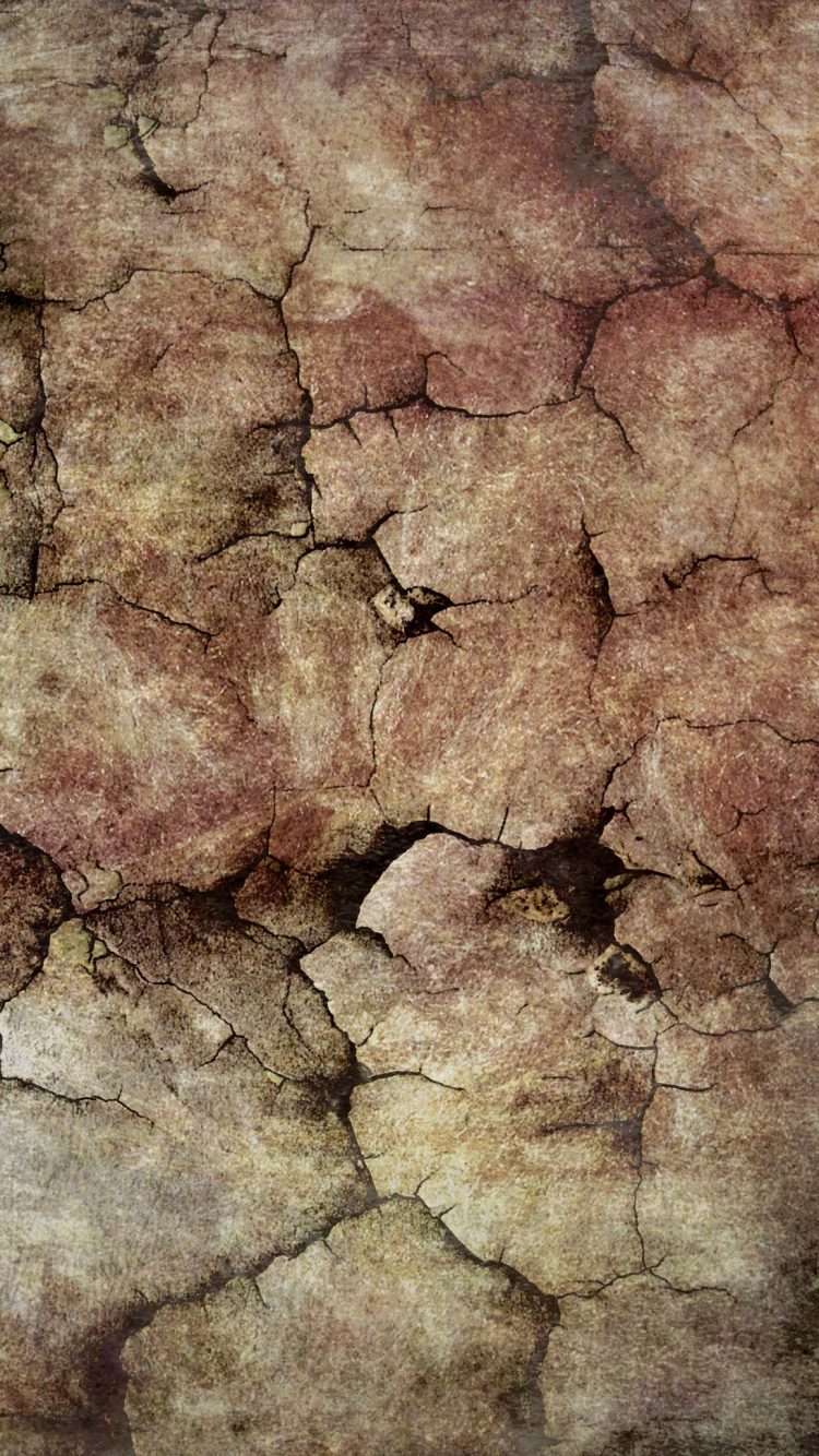 Brown and Gray Stone Fragment. Wallpaper in 750x1334 Resolution