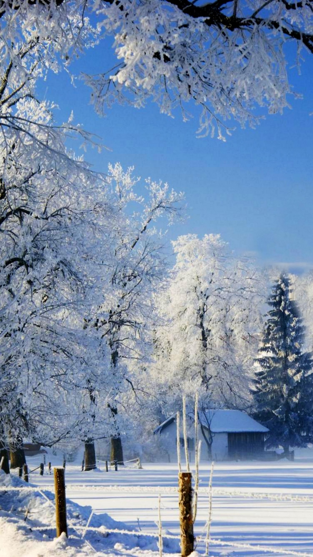 Árboles Cubiertos de Nieve y Montañas Bajo un Cielo Azul Durante el Día. Wallpaper in 1080x1920 Resolution