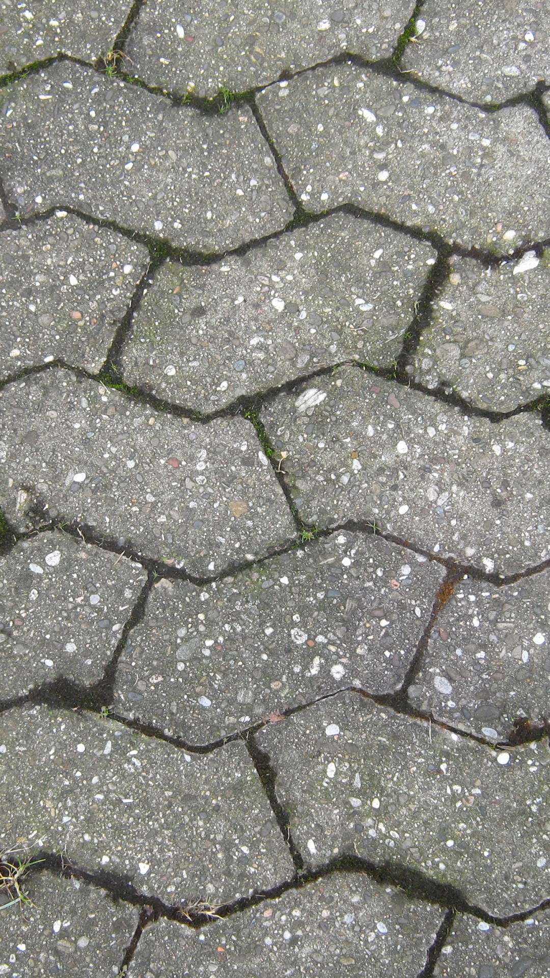 Green and Brown Brick Pavement. Wallpaper in 1080x1920 Resolution