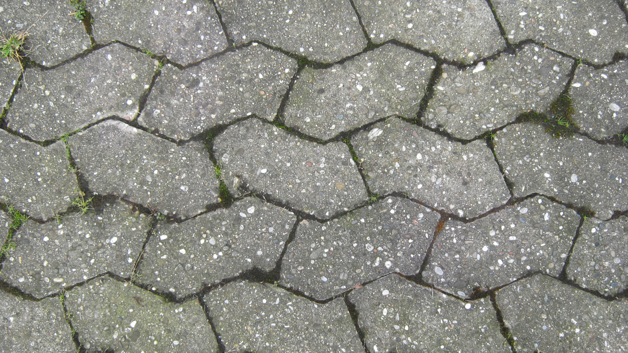 Green and Brown Brick Pavement. Wallpaper in 1280x720 Resolution