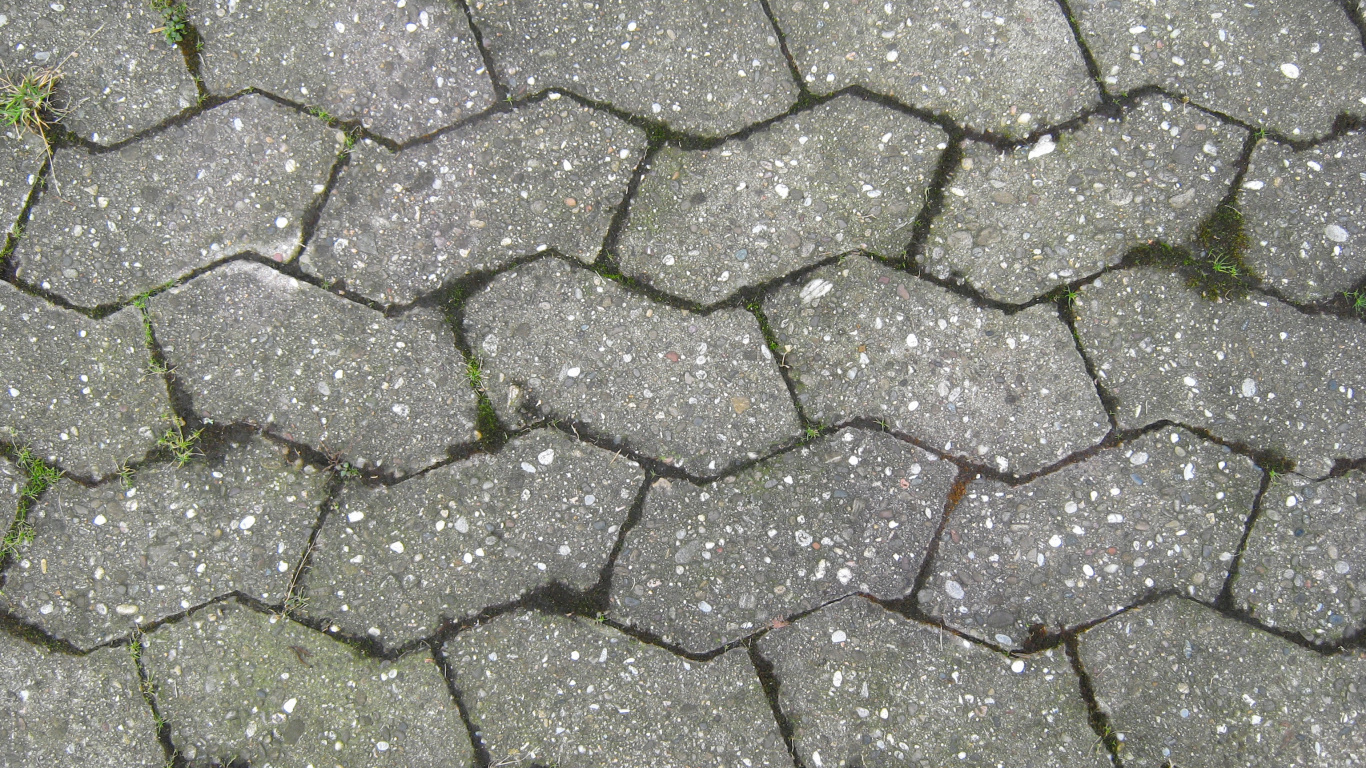 Green and Brown Brick Pavement. Wallpaper in 1366x768 Resolution