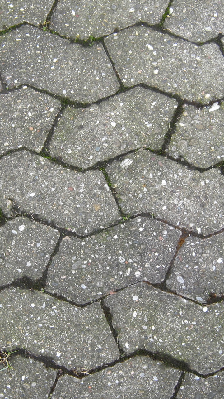 Green and Brown Brick Pavement. Wallpaper in 720x1280 Resolution