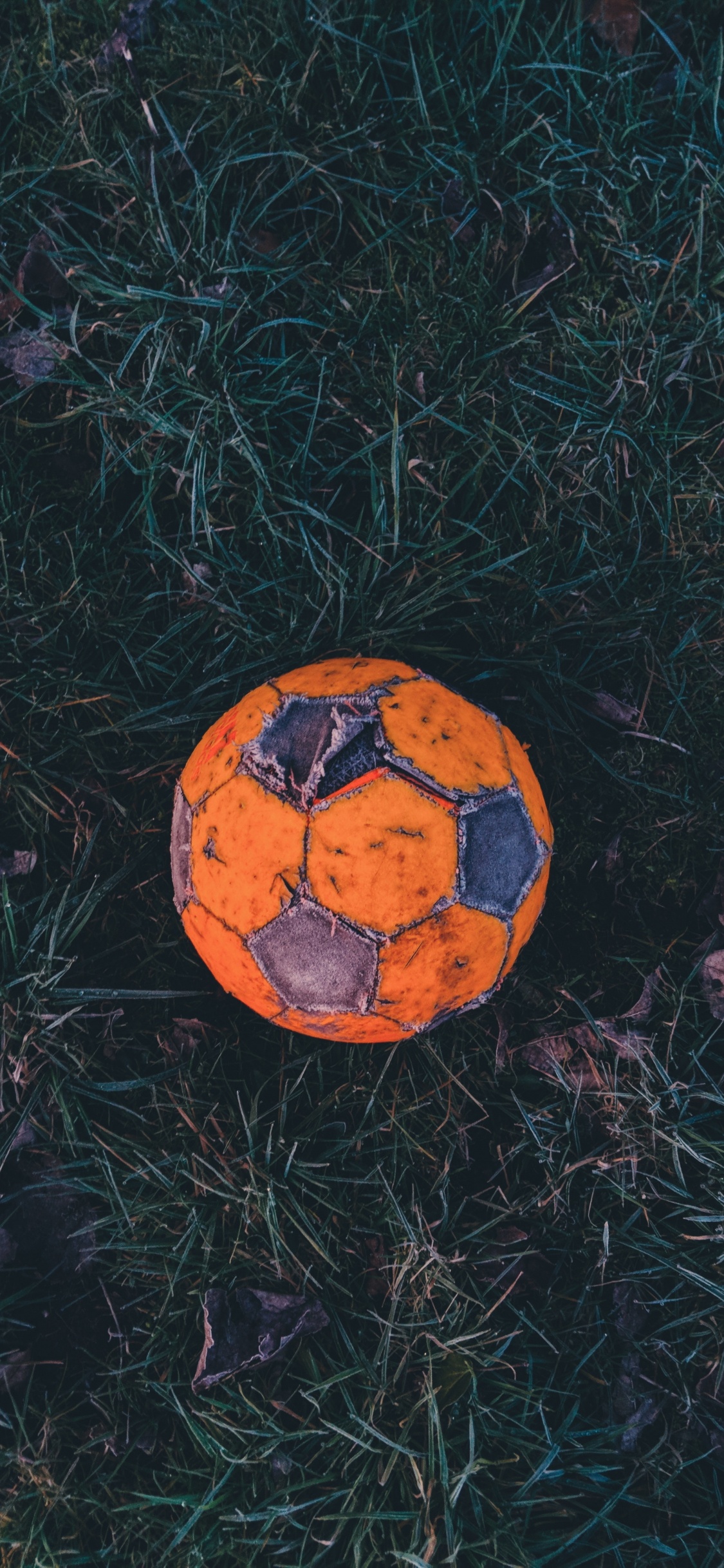 Ballon de Football Orange et Noir Sur L'herbe Verte. Wallpaper in 1125x2436 Resolution